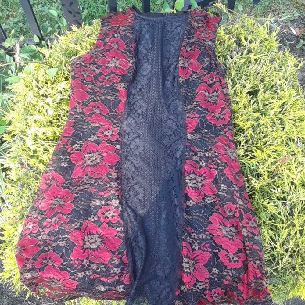 Material girl lace& floral dress